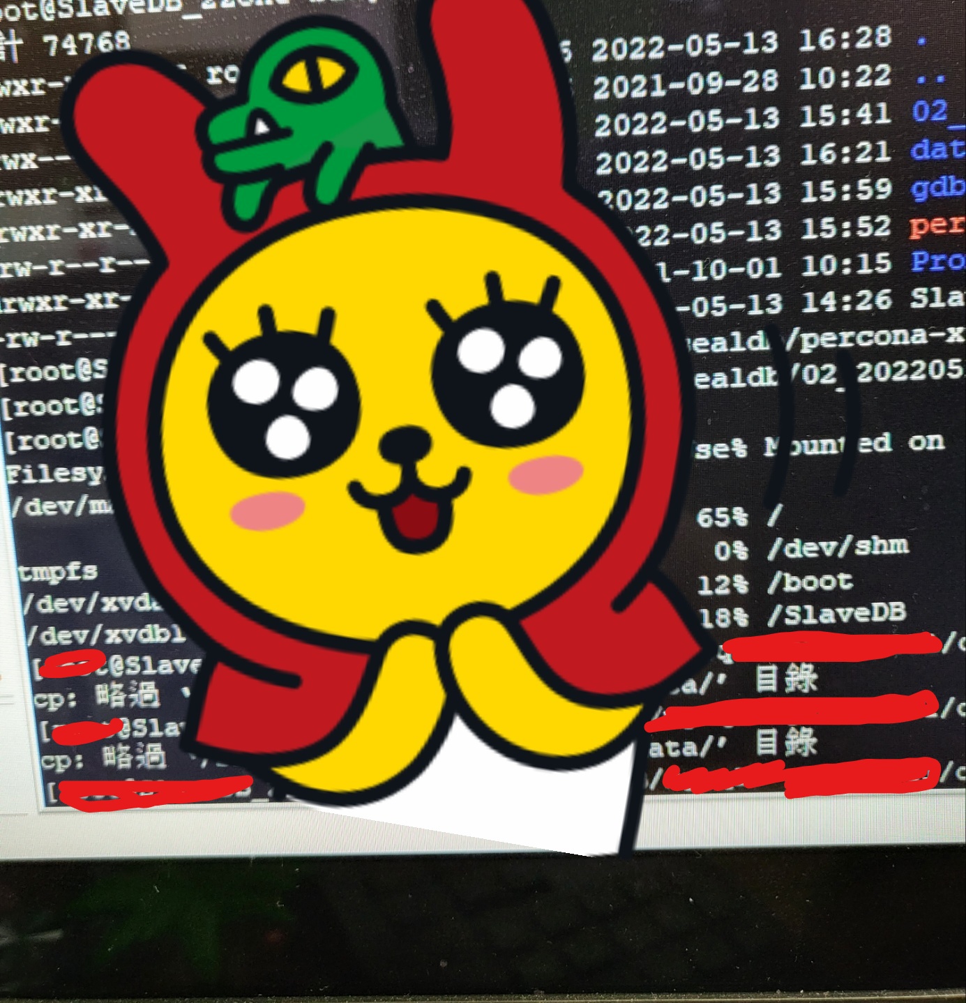 이럴줄 알았으면 제2외국어를 중국어로 할걸..
