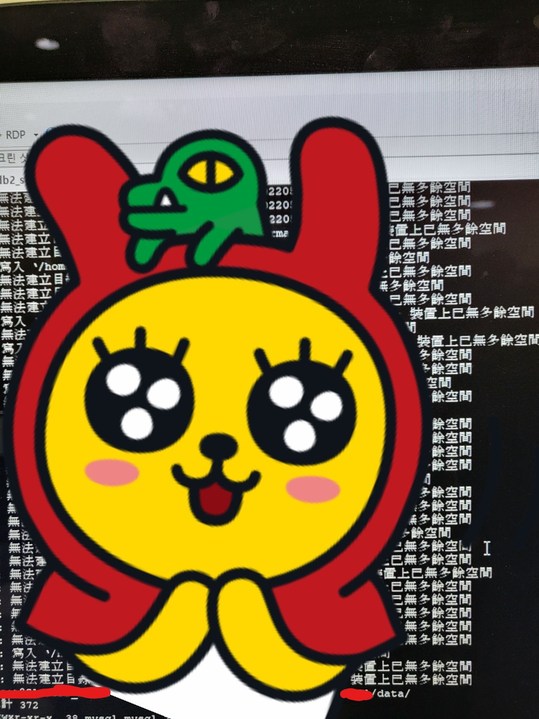 중국어 못해요